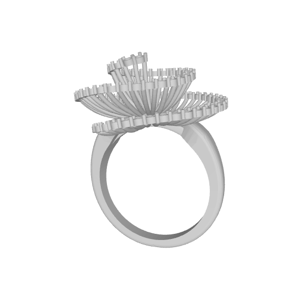 Jewelry & Fashion