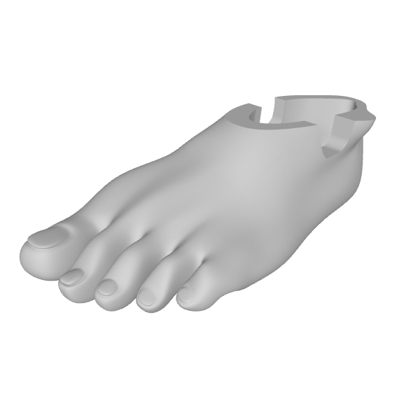 Medical & Prosthetics